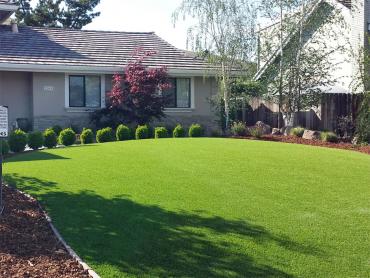Artificial Grass Photos: Artificial Grass Installation Union City, Oklahoma City Landscape, Small Front Yard Landscaping