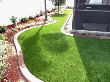 Artificial Grass Photos: Artificial Lawn Texhoma, Oklahoma Landscape Ideas, Backyard Design
