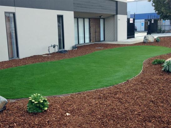 Artificial Grass Photos: Artificial Turf Cost Cloud Creek, Oklahoma Roof Top, Commercial Landscape