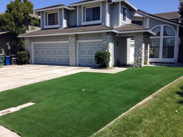 Artificial Grass Photos: Artificial Turf Cost Coalgate, Oklahoma Lawn And Garden, Front Yard Design