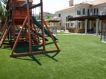 Artificial Grass Photos: Artificial Turf Cost Lindsay, Oklahoma Playground Safety, Backyard Landscape Ideas