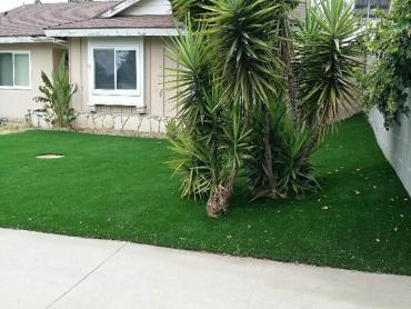 Artificial Grass Photos: Artificial Turf Cost Long, Oklahoma Garden Ideas, Front Yard Design