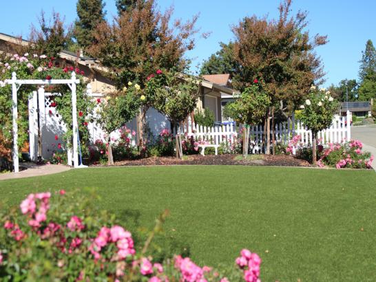 Artificial Grass Photos: Artificial Turf Cost Pittsburg, Oklahoma Rooftop, Front Yard Design