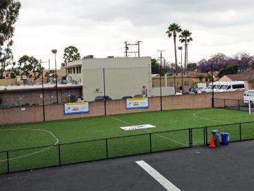 Artificial Grass Photos: Artificial Turf Cost Purcell, Oklahoma Backyard Sports, Commercial Landscape