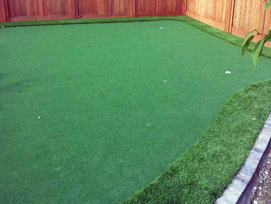 Artificial Grass Photos: Artificial Turf Cost Rentiesville, Oklahoma Paver Patio, Backyard Ideas