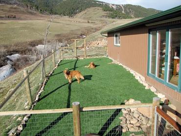 Artificial Grass Photos: Artificial Turf Installation Marlow, Oklahoma Dog Park, Backyard Landscaping Ideas