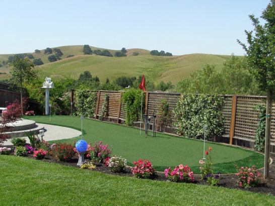 Artificial Grass Photos: Artificial Turf Kildare, Oklahoma Indoor Putting Green, Backyard Landscaping Ideas