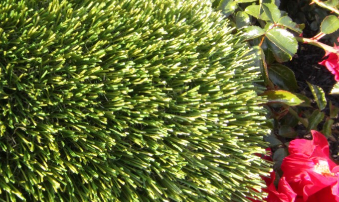 V Blade-64 syntheticgrass Artificial Grass Oklahoma