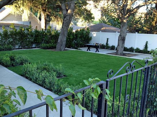 Artificial Grass Photos: Best Artificial Grass Carrier, Oklahoma Landscape Photos, Front Yard Design