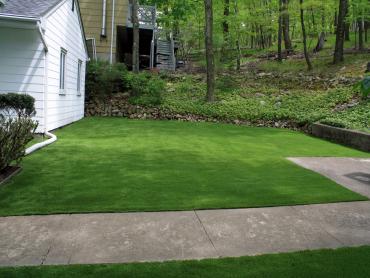 Artificial Grass Photos: Best Artificial Grass Cherry Tree, Oklahoma Landscaping, Front Yard Landscaping