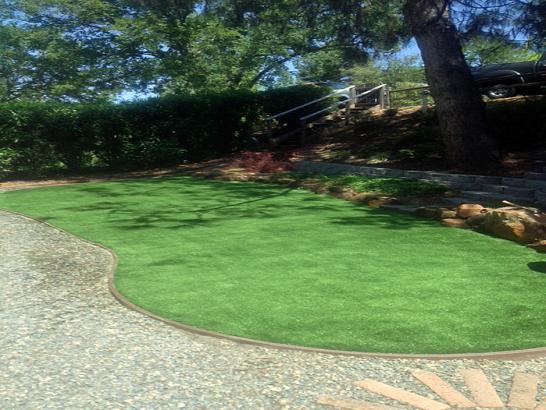 Artificial Grass Photos: Best Artificial Grass Saint Louis, Oklahoma Landscaping, Backyard Garden Ideas