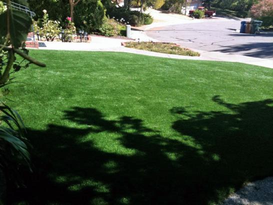 Artificial Grass Photos: Fake Grass Gotebo, Oklahoma Landscape Design, Front Yard Landscape Ideas