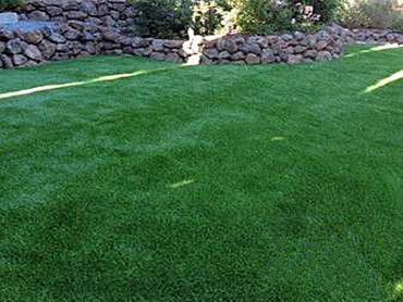 Artificial Grass Photos: Fake Lawn Carlisle, Oklahoma Garden Ideas, Backyard Designs
