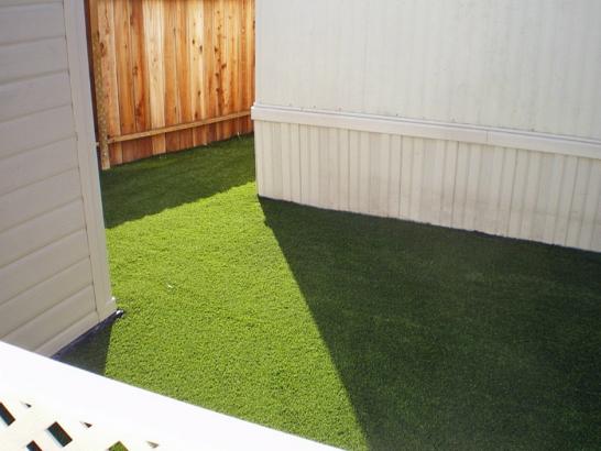 Artificial Grass Photos: Fake Turf Leon, Oklahoma Indoor Dog Park, Backyard Landscaping