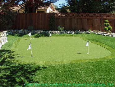 Fake Turf Stillwater, Oklahoma Indoor Putting Greens, Backyard Ideas artificial grass
