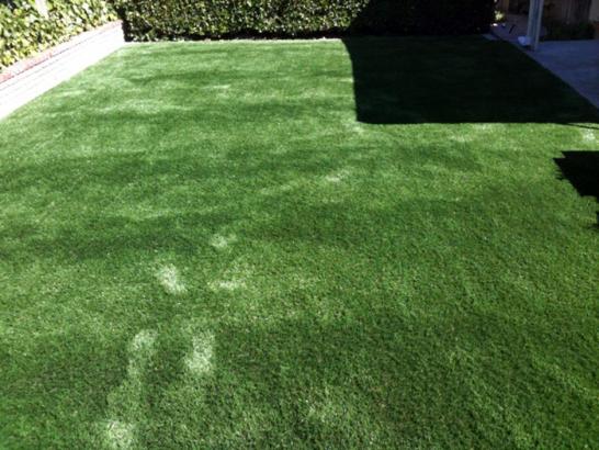Artificial Grass Photos: Grass Carpet Box, Oklahoma Landscape Design, Backyard Ideas