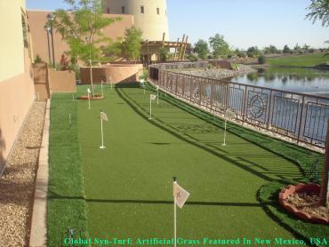 Artificial Grass Photos: Grass Carpet Broken Arrow, Oklahoma Indoor Putting Green, Backyard Landscape Ideas