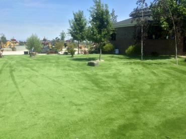 Artificial Grass Photos: Grass Carpet Commerce, Oklahoma Landscape Design, Parks