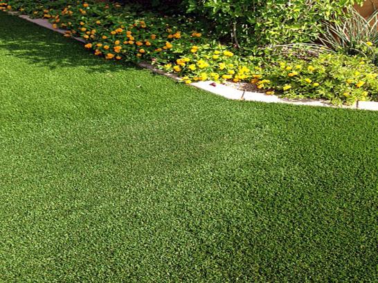 Artificial Grass Photos: Grass Carpet Pump Back, Oklahoma Landscape Photos, Landscaping Ideas For Front Yard