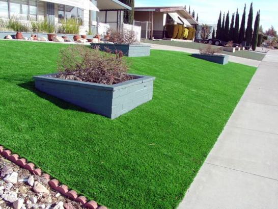Artificial Grass Photos: Grass Carpet Quinlan, Oklahoma Lawn And Garden, Front Yard Design