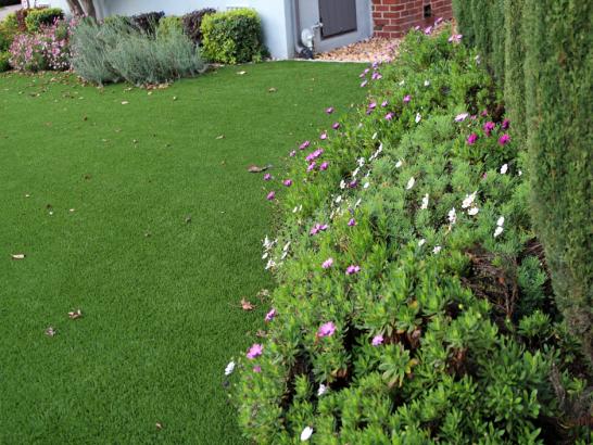 Artificial Grass Photos: Grass Turf Bull Hollow, Oklahoma Landscaping, Front Yard Landscaping Ideas