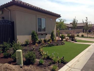 Artificial Grass Photos: Grass Turf Springer, Oklahoma Landscaping Business, Front Yard Landscaping Ideas
