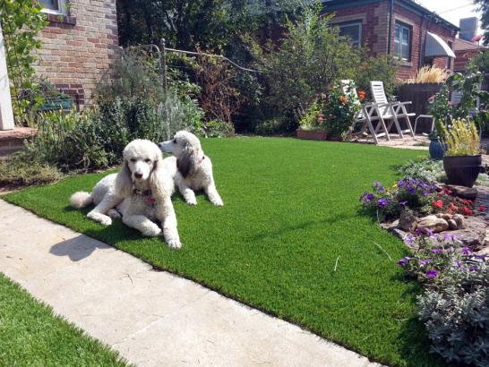 Artificial Grass Photos: How To Install Artificial Grass Johnson, Oklahoma Cat Playground, Front Yard Landscaping