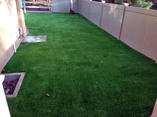 Artificial Grass Photos: Installing Artificial Grass Iron Post, Oklahoma Fake Grass For Dogs, Backyard Ideas