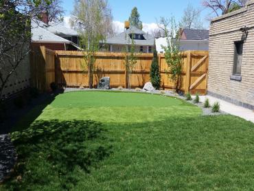 Artificial Grass Photos: Lawn Services Chandler, Oklahoma Gardeners, Small Backyard Ideas