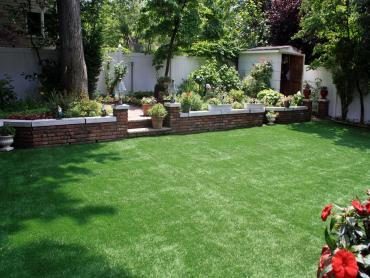 Artificial Grass Photos: Lawn Services Dibble, Oklahoma Landscape Ideas, Small Backyard Ideas