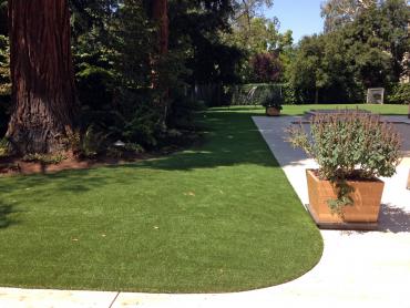 Artificial Grass Photos: Lawn Services Salina, Oklahoma Roof Top, Front Yard Landscape Ideas