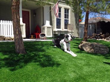 Artificial Grass Photos: Lawn Services Seiling, Oklahoma Gardeners, Grass for Dogs