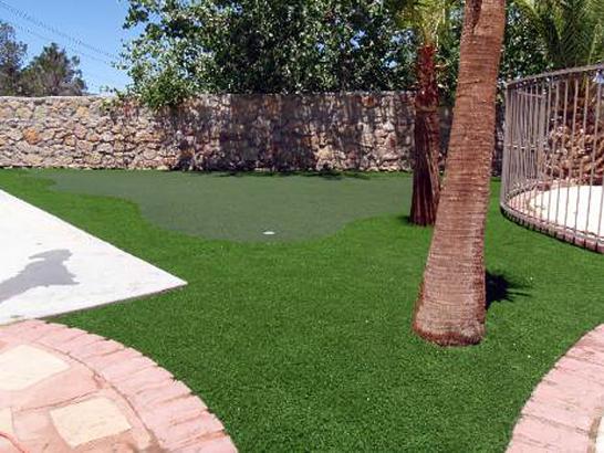 Artificial Grass Photos: Lawn Services Terlton, Oklahoma Putting Green Flags, Backyard Designs