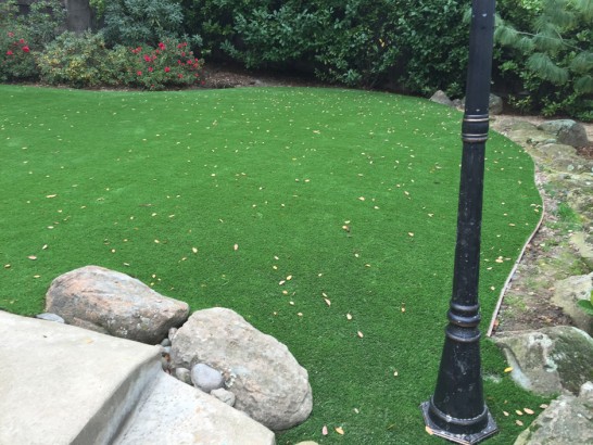 Artificial Grass Photos: Outdoor Carpet Clinton, Oklahoma Home And Garden, Beautiful Backyards