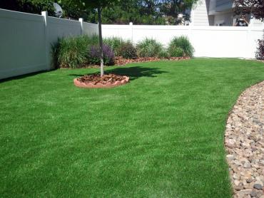 Artificial Grass Photos: Outdoor Carpet Guymon, Oklahoma Lawn And Garden, Backyard Ideas