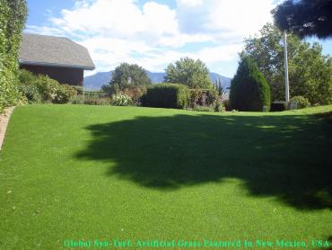 Artificial Grass Photos: Outdoor Carpet Moore, Oklahoma Pet Paradise, Backyard Landscape Ideas