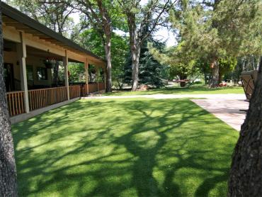 Artificial Grass Photos: Outdoor Carpet Tipton, Oklahoma Hotel For Dogs, Backyard Landscaping Ideas
