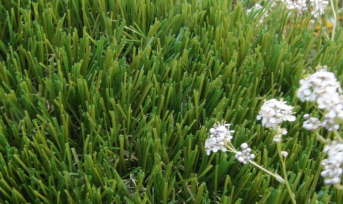 V Blade-64 syntheticgrass Artificial Grass Oklahoma