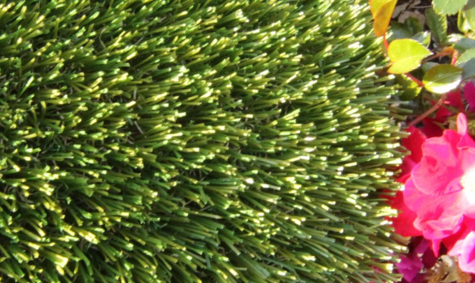 V Blade-77 syntheticgrass Artificial Grass Oklahoma