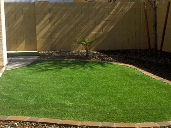 Artificial Grass Photos: Plastic Grass Castle, Oklahoma Lawns, Backyard Designs