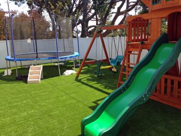 Artificial Grass Photos: Plastic Grass Ketchum, Oklahoma Athletic Playground, Backyard Garden Ideas