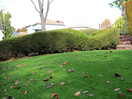 Artificial Grass Photos: Synthetic Grass Addington, Oklahoma Gardeners, Front Yard Design