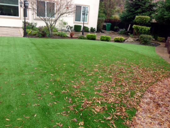 Artificial Grass Photos: Synthetic Grass Cost Devol, Oklahoma Backyard Deck Ideas, Backyard Landscaping Ideas