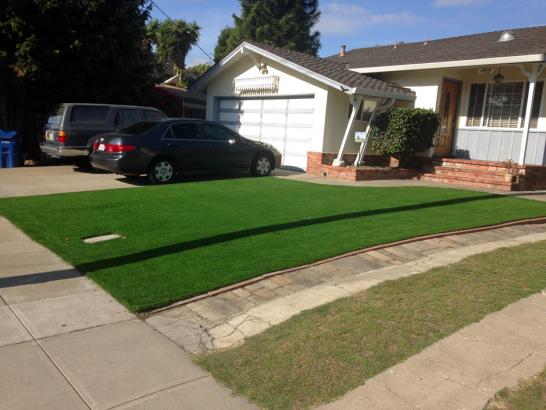 Artificial Grass Photos: Synthetic Grass Snake Creek, Oklahoma Lawns, Front Yard Landscape Ideas
