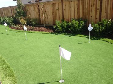 Artificial Grass Photos: Synthetic Lawn Gage, Oklahoma Outdoor Putting Green, Backyard Design