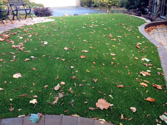 Artificial Grass Photos: Synthetic Lawn Norge, Oklahoma Home And Garden, Front Yard Landscaping Ideas
