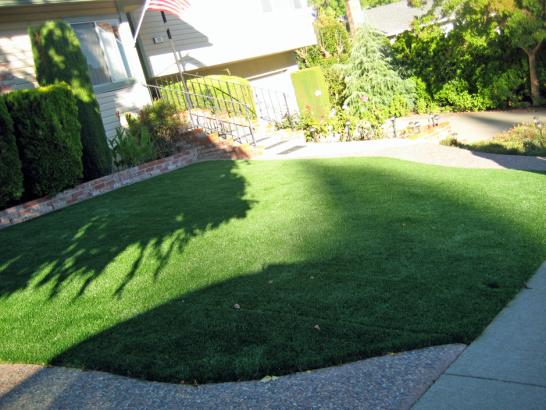 Artificial Grass Photos: Synthetic Lawn Roosevelt, Oklahoma Garden Ideas, Front Yard Design