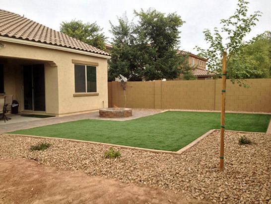 Artificial Grass Photos: Synthetic Turf Friendship, Oklahoma Landscape Ideas, Backyard Garden Ideas