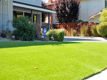 Artificial Grass Photos: Synthetic Turf Gans, Oklahoma Landscape Design, Front Yard Landscaping