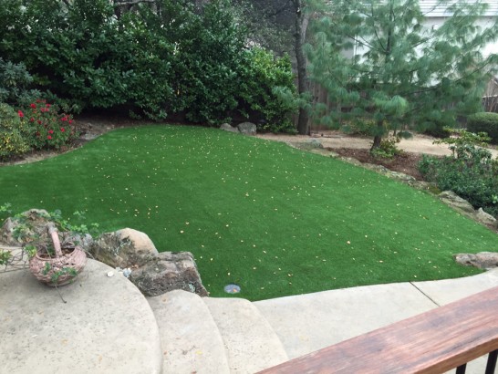 Artificial Grass Photos: Synthetic Turf Glenpool, Oklahoma Landscape Design, Backyard
